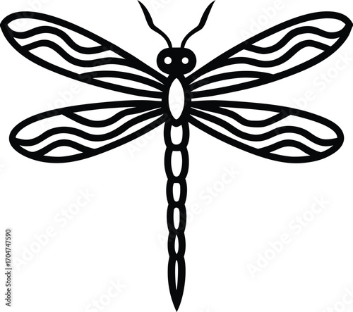 black and white dragonfly