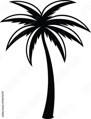 palm tree silhouette