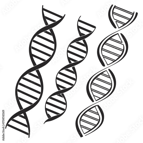 Three stylized black and white representations of the dna double helix structure on a white background