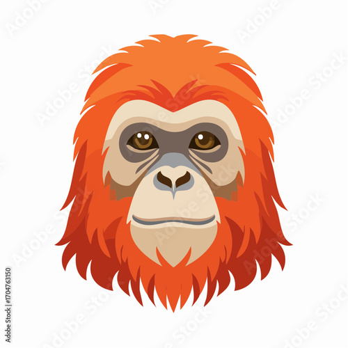Orangutan Head Illustration in Flat Vector Primate Animal Design
