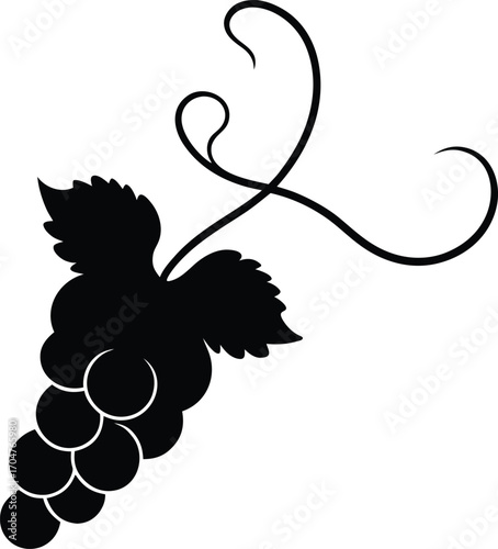 bunch of grapes vector illustration