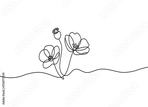 Minimalist poppy flower drawing on white background using single continuous line art style creating elegant simplicity and floral beauty