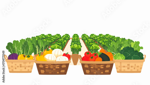 Freshly harvested vegetables in baskets, arranged in neat rows of a garden.