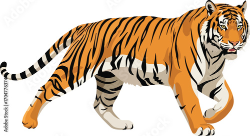 A tiger in a walking pose, with detailed stripes and orange fur.
