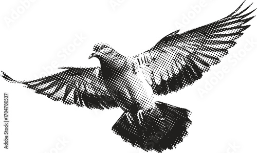 Graceful pigeon soaring through the sky with wings spread wide, a symbol of peace and freedom.