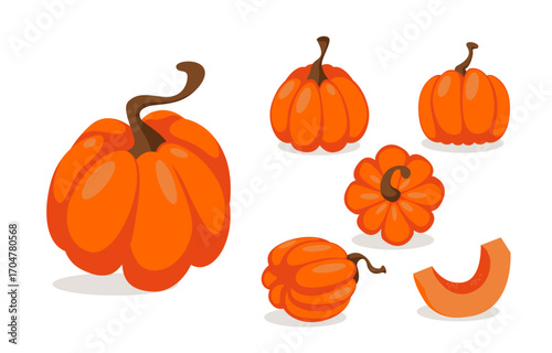 fruit pumpkins