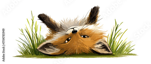 Cute fox lying down in grass