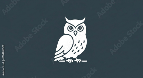 Simple owl illustration in white on a dark background for educational or naturethemed designs and projects