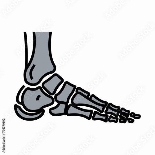 Illustration depicting the skeletal structure of a human foot, showing bones.