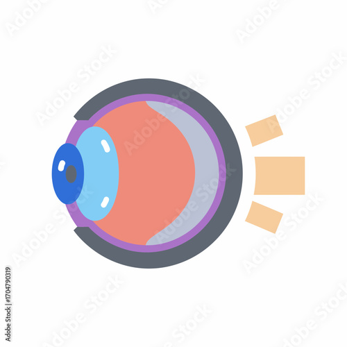 Cross-section illustration of a human eye, highlighting its internal structures.