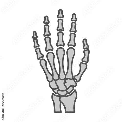 A detailed illustration of a human hand's skeletal structure, showcasing the bones.