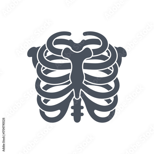 Stylized anatomical illustration of a human ribcage.