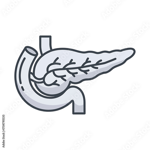 A stylized illustration of the human pancreas and surrounding digestive organs.