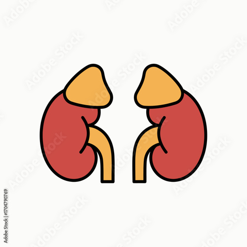 Illustration depicts two stylized kidneys with adrenal glands, showcasing human anatomy.
