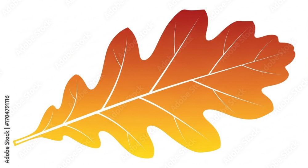 Obraz premium maple leaf isolated on white