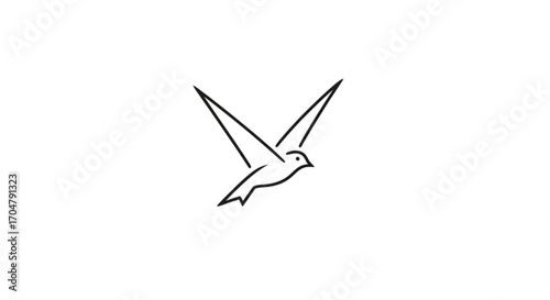 vector illustration of a flying bird