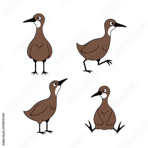 A charming collection of four cartoon brown water birds with white markings shown in various dynamic poses.