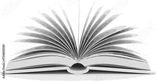 Open book with pages fanned out, creating a symmetrical, abstract design.