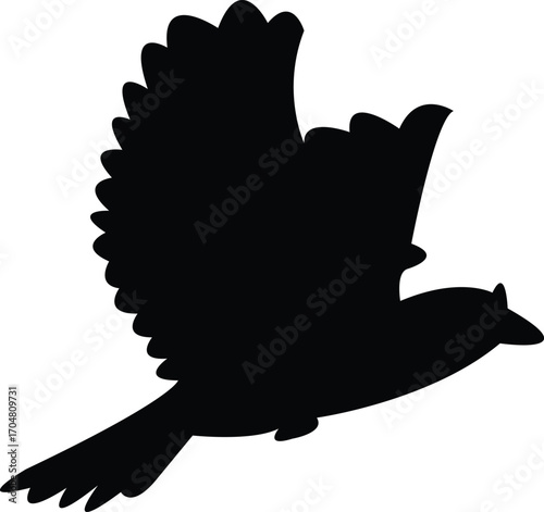 Flying Angola lark bird Silhouette Design And Vector Illustration. 