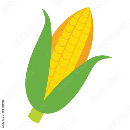 An illustration of corn on a white golden maize cereal agricultural crop farming nutrition food vector design