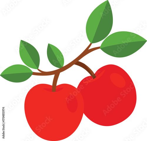 Branch of fresh ripe apples with leaves isolated organic fruit healthy nutrition natural food vector artwork