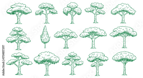 assortment of tree drawings diverse tree illustrations for landscape architecture botanical studies and ecological design projects showcasing natural beauty.