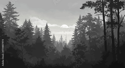 mysterious forest at night silhouette trees under a moody moonlight creating an atmospheric backdrop for nature-themed projects solitude