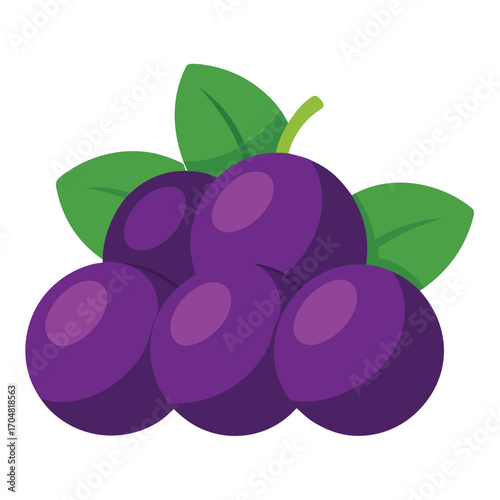 Pile of plums with leaves top view isolated on white fruit food healthy nutrition fresh vector artwork