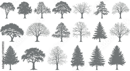silhouettes of diverse tree types isolated against white for nature illustrations botanical studies landscape designs and environmental education materials