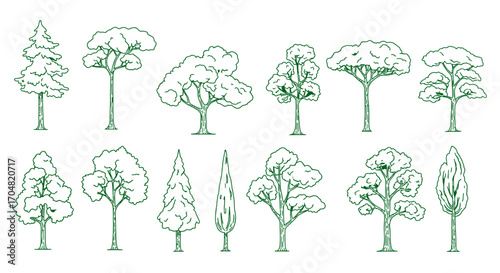 diverse tree sketches a collection of hand-drawn trees for nature illustrations landscape designs botanical studies ideal for ecological projects.
