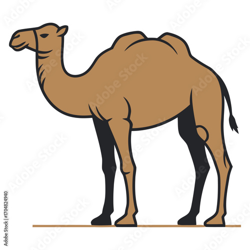 dromedary camel with two humps in profile standing calmly on flat ground portraying the desert animal with its unique characteristics.