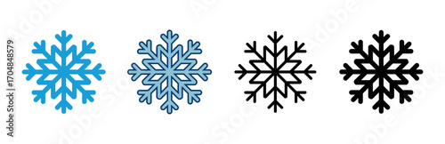 Snowflake icon vector isolated on white background. snow icon vector. Symbol of winter, frozen