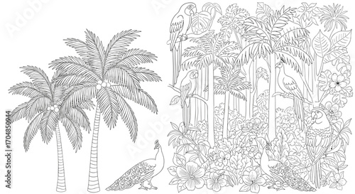 Tropical rainforest vegetation with palm trees and dense jungle foliage providing a natural habitat for wildlife.
