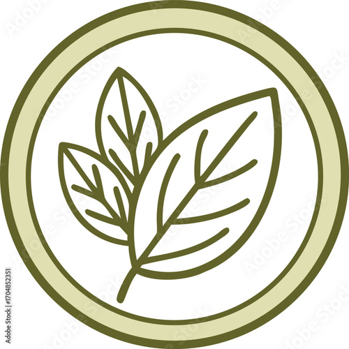 Green Bay Leaf Icon with Cream and Olive Outline on White Background herb medicine