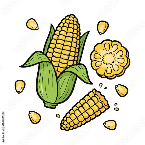 A fun and fresh cartoon illustration of corn on the cob, featuring whole, sliced, and loose kernels for food designs. vector illustration