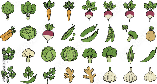 Fresh organic vegetables assortment for healthy eating and vegan lifestyle, vibrant food ingredients, nutritious, colorful veggie mix, raw food diet, great nutrition