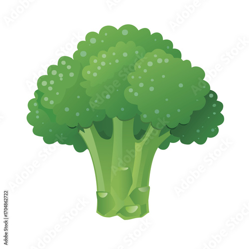 Vector illustration of broccoli, clean green color, flat simple design, isolated on white
