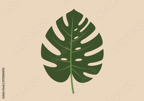 Minimalist vector illustration of a single green Monstera deliciosa leaf on a pastel background, a modern flat design for botanical and tropical concepts