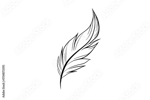 a black and white drawing of a featherblack, design, feather, illustration, tail, tattoo, white 