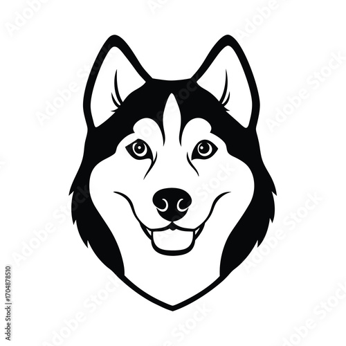 black and white husky dog head on white background