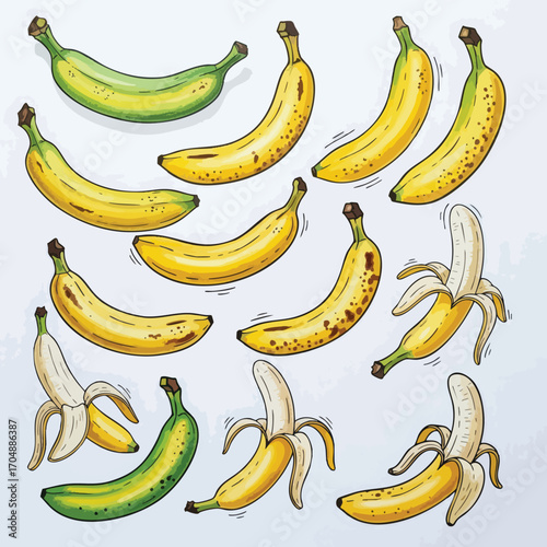 Cartoon Bananas Collection of Ripe Green Peeled Bananas Illustration