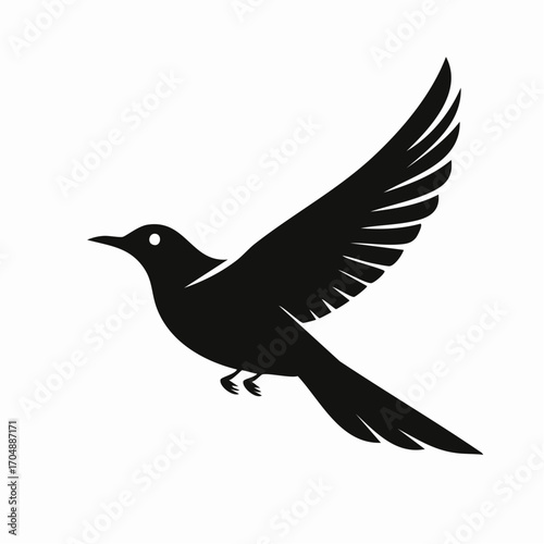 Vector illustration of bird flying with wings fully spread in the sky
