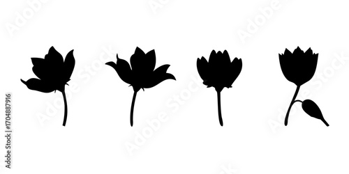 Vector illustration of lotus flowers blooming
