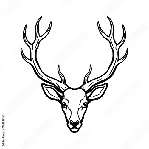 hand drawn deer antlers illustration