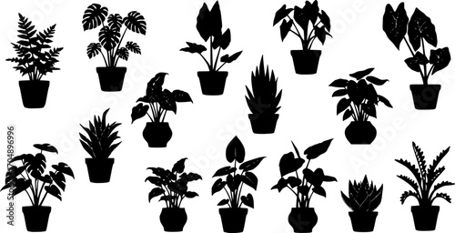 Houseplant Silhouettes Vector Set, Indoor Plants in Pots Isolated on White Background
