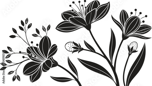 Elegant black and white floral botanical elements silhouette artistic decorative nature plant sprigs for design projects