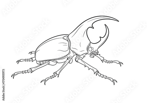 A detailed illustration of a large horned beetle with intricate leg details.