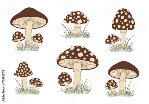 A collection of brown spotted mushrooms growing in the grass.