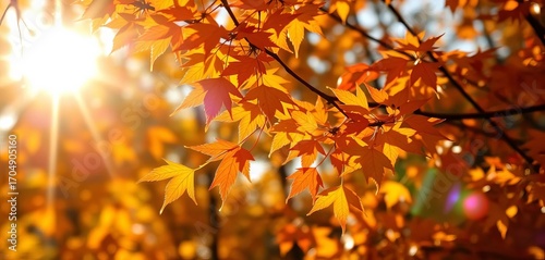 Sunlit autumn leaves, bokeh glow, vibrant colors, fall foliage,  element,  illustration