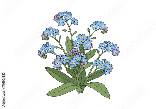 Watercolor illustration of a cluster of delicate blue forget-me-not flowers with green leaves.